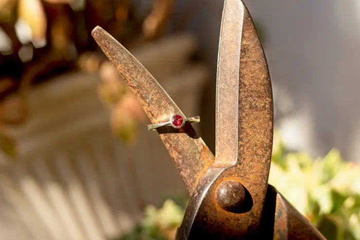 Floating Garnet Ring
