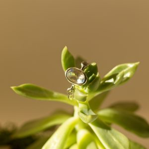 ring, silver, moonstone