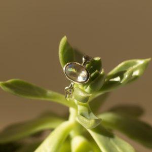 ring, silver, moonstone